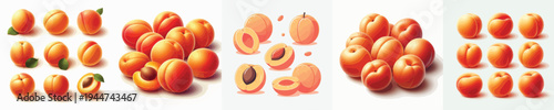 Apricot Fruit Vector Illustration Collection