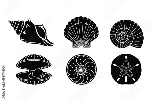 Collection of black silhouettes of seashells with sand dollar