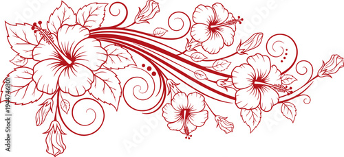 Hibiscus floral design in red outline, decorative border element for tropical themes