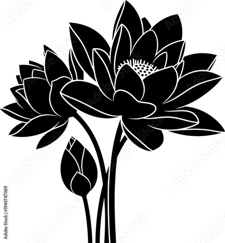 Two black lotus flowers with bud silhouette on transparent background, elegant botanical design element