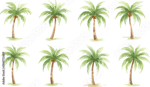 Watercolor vector illustration set of tropical coconut palm trees with green leaves isolated on white background for summer travel beach vacation and exotic nature design concepts.