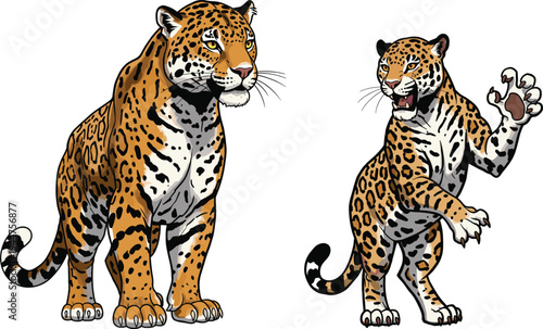Jaguar illustration, wild animal artwork, aggressive jaguar pose, calm jaguar stance, jungle predator, feline behavior, wildlife concept, tropical theme