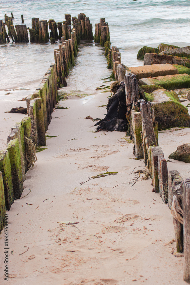 Fototapeta premium Groyne structures with wooden posts creating a weathered path into the ocean on a sandy beach, showcasing coastal erosion and protection during a cloudy day