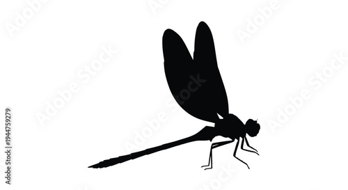 A striking black dragonfly form is shown in dark silhouette