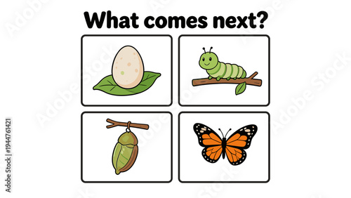 Cartoon life cycle of butterfly with egg, caterpillar, chrysalis, butterfly  