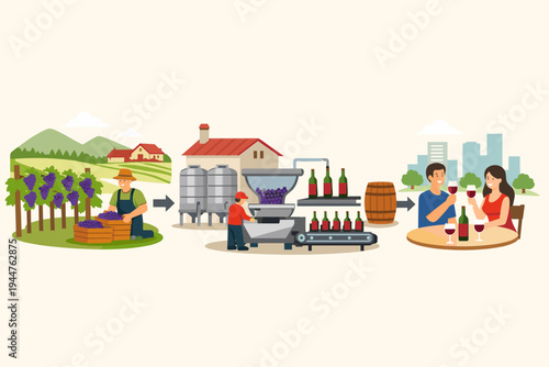 Wine production process vector illustration showing the journey from grape harvesting in a vineyard to industrial processing in a winery and final consumption by a happy couple at a city table.