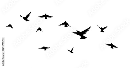 Flying birds silhouette flock. hand drawing. Not AI. Vector illustration