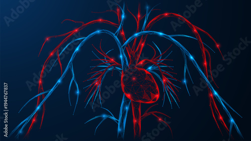 Digital cardiovascular system. The concept of cardiology, medical research, biotechnology, digital diagnostics and health monitoring. Polygonal design of interconnected lines and dots.
