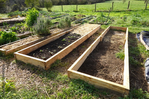 Raised garden beds with straw mulch in organic farming