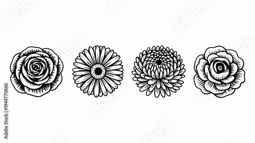 A collection of four different flower illustrations is displayed in black and white showcasing detailed petal structures and botanical artistry high quality professional modern elegant stylish