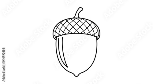 Black and white line art illustration of a simple acorn nut with cap, isolated icon for autumn, fall, nature, and forest themes.