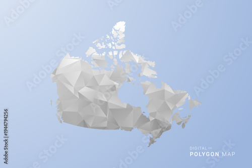 Canada Map - polygon style vector illustration in gray, white and blue tone, low-poly geometric design, minimal silhouette, suitable for infographic and modern design.