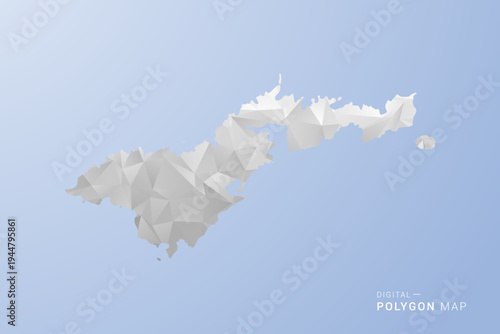 American Samoa Map - polygon style vector illustration in gray, white and blue tone, low-poly geometric design, minimal silhouette, suitable for infographic and modern design.