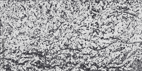 Dense monochrome abstract texture with a complex network of interconnected organic shapes and a speckled surface for graphic design backgrounds