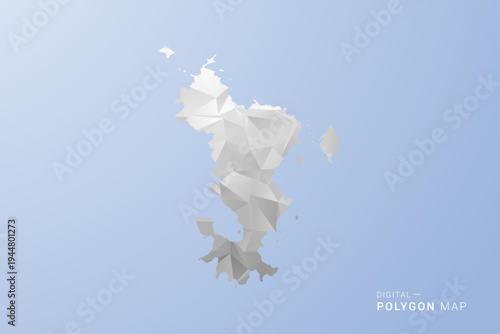 Mayotte Map - polygon style vector illustration in gray, white and blue tone, low-poly geometric design, minimal silhouette, suitable for infographic and modern design.