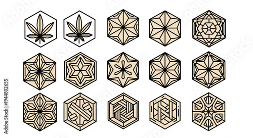 Traditional Asian Hexagonal Tile Patterns Vector Set with Geometric and Floral Motifs, Isolated White Background