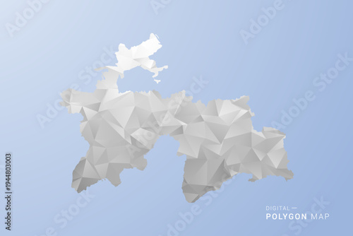 Tajikistan Map - polygon style vector illustration in gray, white and blue tone, low-poly geometric design, minimal silhouette, suitable for infographic and modern design.