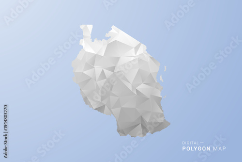 Tanzania Map - polygon style vector illustration in gray, white and blue tone, low-poly geometric design, minimal silhouette, suitable for infographic and modern design.