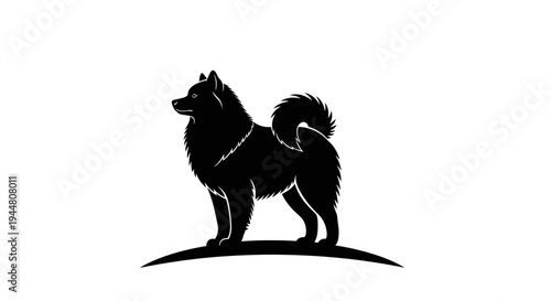 A Graceful Silhouette of a Samoyed Standing Proudly on a Hilltop, Exuding Serenity.