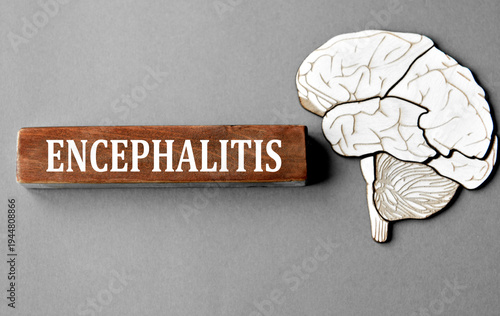 ENCEPHALITIS is an word depicted on a wooden block on a gray background with a model of a skull and brain.