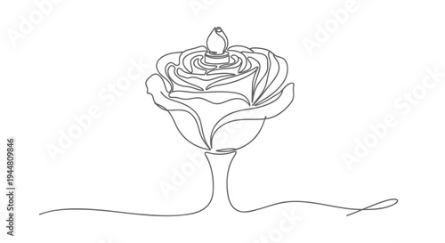 Continuous line drawing of a single rose vector