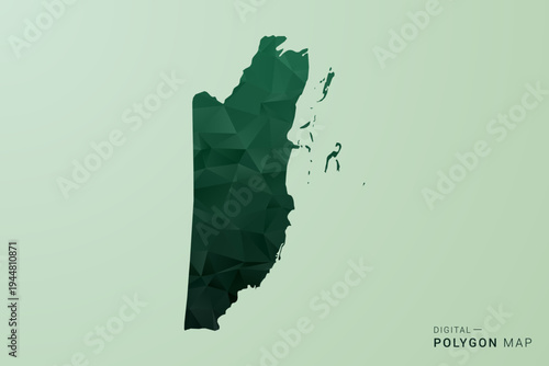 Belize Map - Green Polygon Style Vector Illustration, Low Poly Geometric Design with Clean Silhouette on soft green Background.