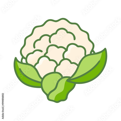 Illustration of a fresh cauliflower head with green leaves against black background