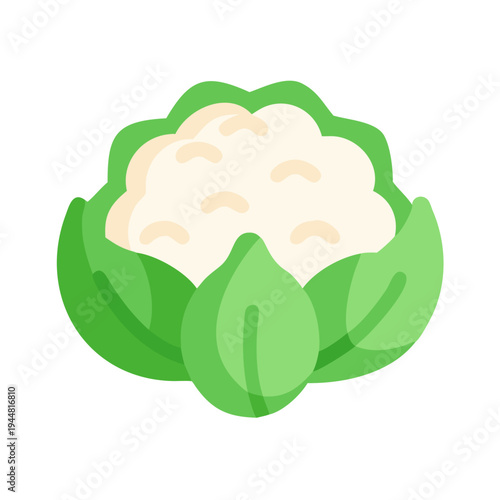 Flat illustration of a single head of cauliflower with black background