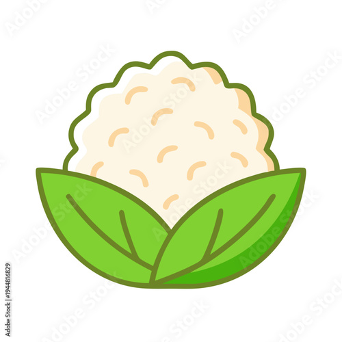Cartoon illustration of a fresh cauliflower head with vibrant green leaves on black