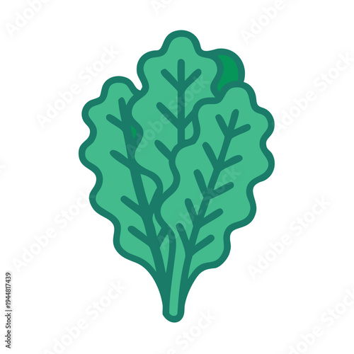 Vibrant green oak leaf lettuce illustration against a stark black background