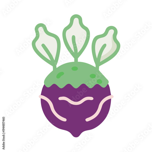 Stylized Kohlrabi Vegetable Icon with Leaves, Isolated on Black Background, Flat Design