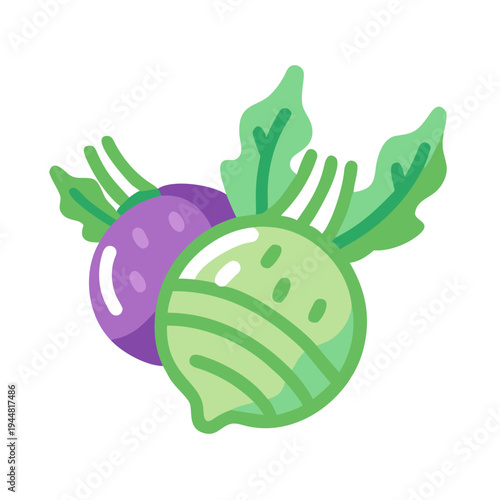 Minimalist vector illustration of kohlrabi and turnip against a black background