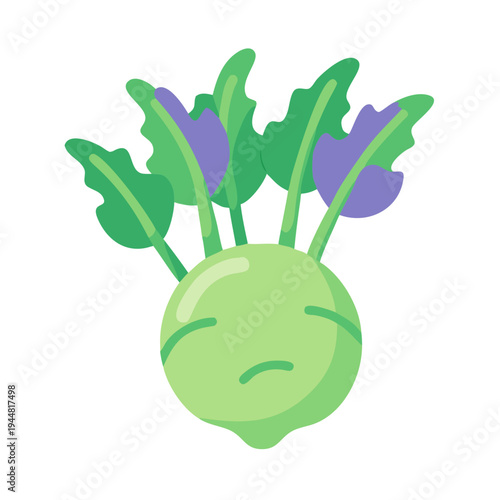 Kohlrabi vegetable icon with green and purple leaves on black background