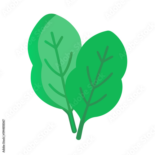 Two stylized green spinach leaves on a black background. Modern flat design
