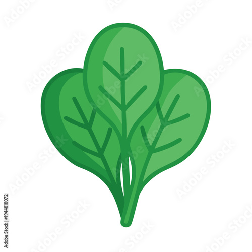 Three green spinach leaves, isolated on a black background, food concept