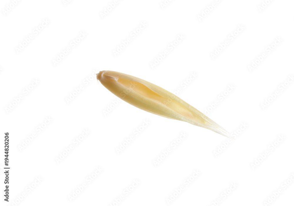 Obraz premium One raw oat grain isolated on white