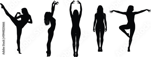 Collection of black silhouettes featuring beautiful female ballet dancers and gymnasts performing various artistic dance poses isolated on white background for sports and fitness design