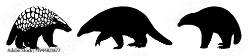 Pangolin set with solid black silhouette in defensive walking stance featuring rare pangolin, endangered wildlife, conservation icon with white background and black outline