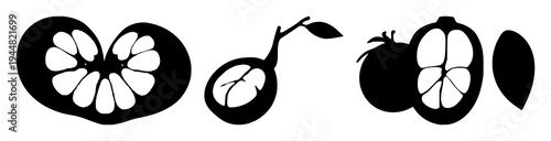 Mangosteen cross-section set with solid black silhouette on white background featuring laboratory-grown, exotic, future food with fruit and biology