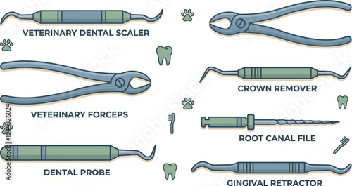 A collection of detailed illustrations shows various veterinary dental instruments including scalers, forceps, probes, and root canal files.