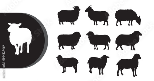 A collection of black and white sheep silhouettes on a clean white background