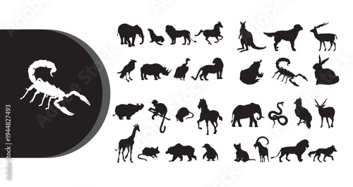 A collection of various animal silhouettes on a white background