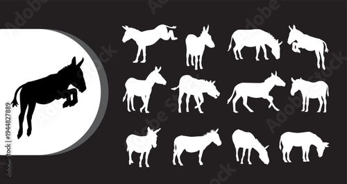 A collection of donkey silhouettes in various poses on a black background