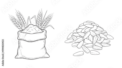 Hand drawn wheat flour in sack with ears and pile of sunflower seeds