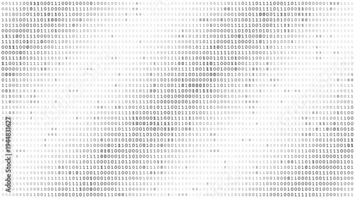 Systemic Data Matrix - Full Frame Binary Code Distribution in Grayscale