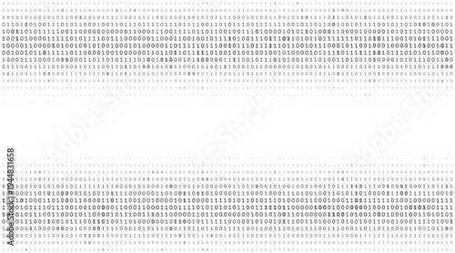 Bimodal Data Stream - Parallel Binary Processing Arrays in Minimalist Grayscale