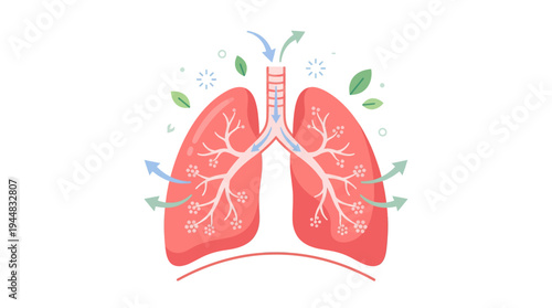 Illustration of the human respiratory system showing oxygen intake and carbon dioxide expulsion with leaves and arrows