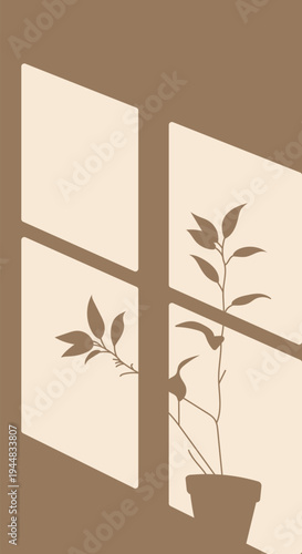 Minimalist plant silhouette casting shadows through a window pane