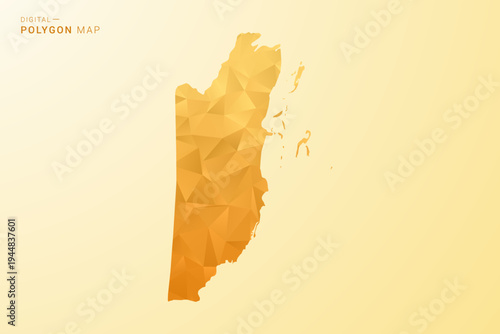 Belize Map - Polygon style vector illustration in yellow and orange low poly geometric design, modern minimal silhouette, isolated for infographic.