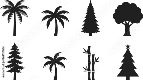Collection of palm, pine, bamboo and deciduous tree silhouettes, tropical and forest botanical nature vector icon setCollection of palm, pine, bamboo and 